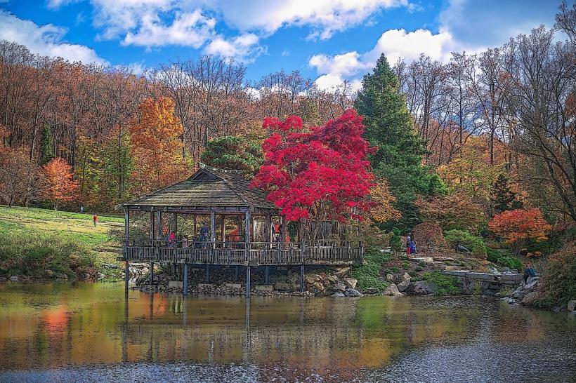 Brookside Gardens