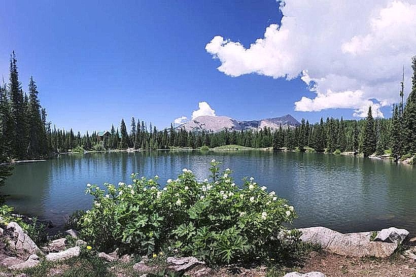 Manti-La Sal National Forest
