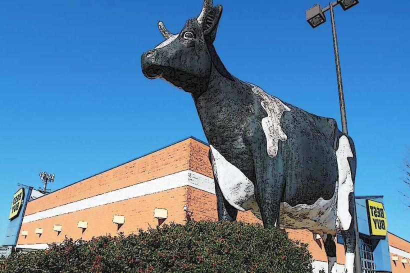 Kadie Cow of Columbus