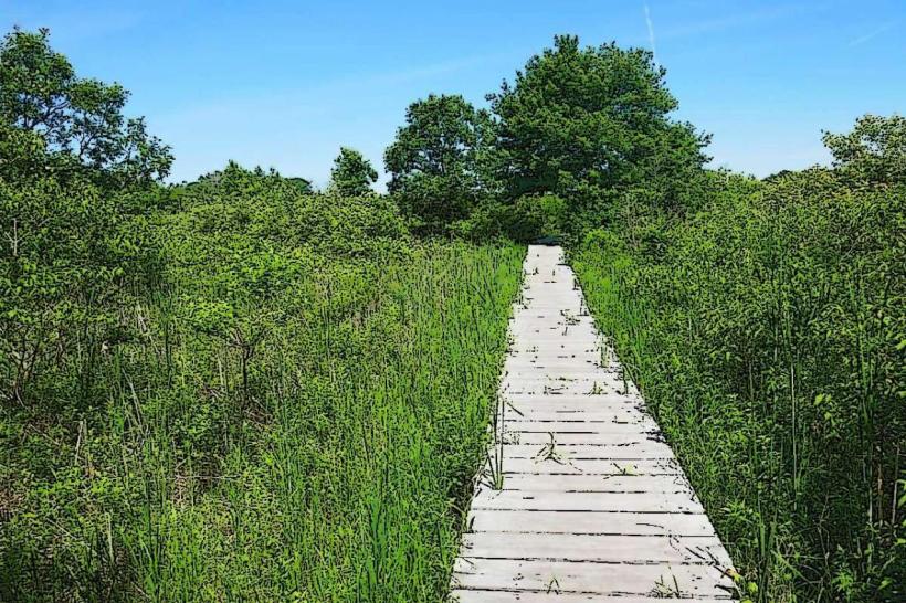 Cutler Park Reservation