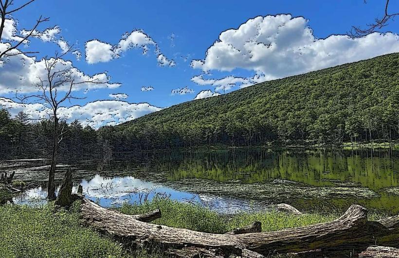 Тук е подробен преглед на горския резерват Catskill Catskill Forest