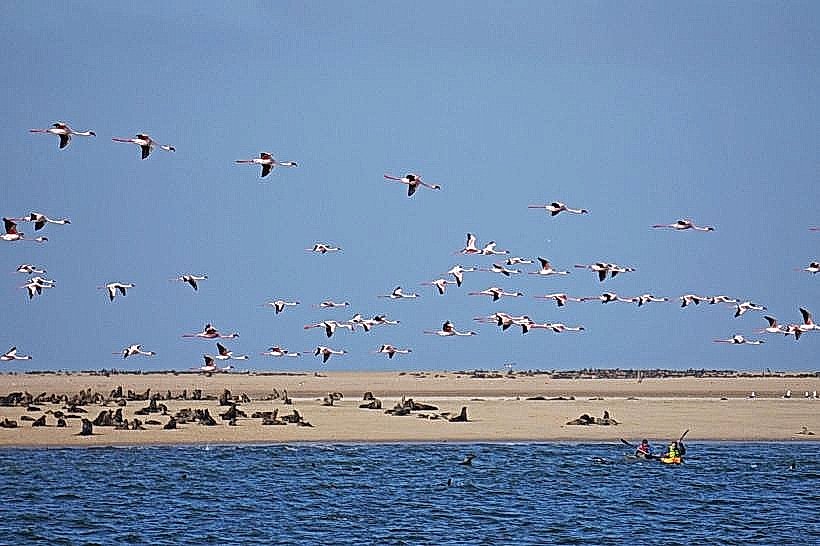Namib-Naukluft National Park