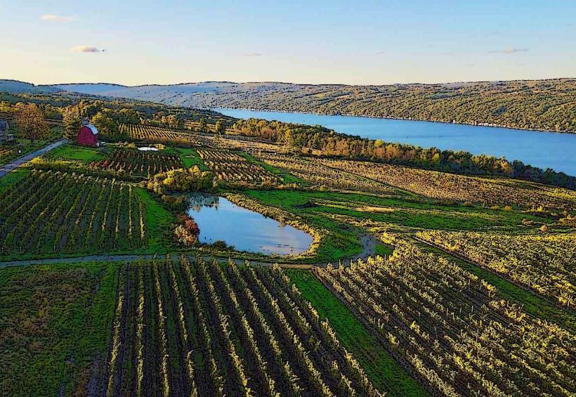 Finger Lakes Wine Trails