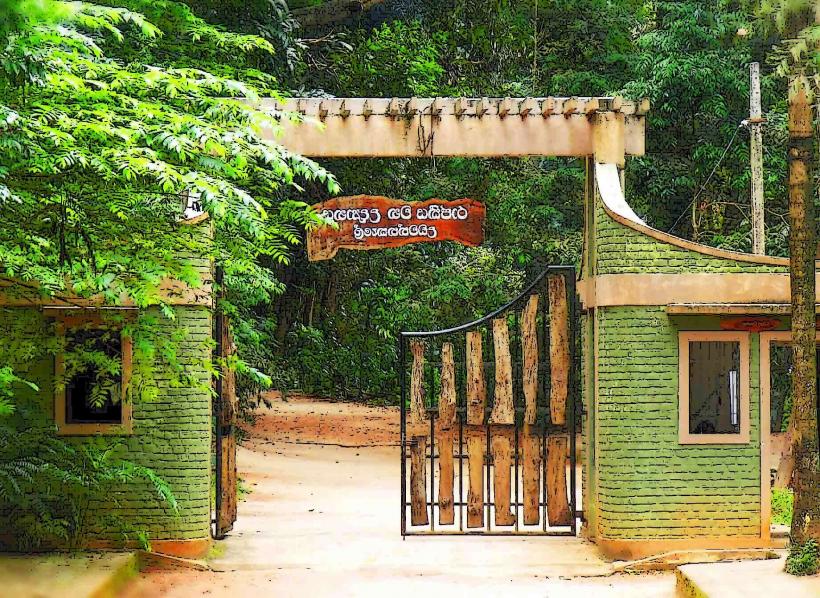 Udawatta Kele Sanctuary