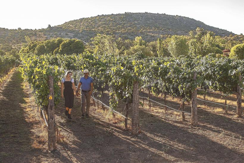Arizona Stronghold Vineyards