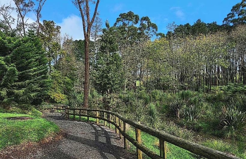 Taitua Arboretum