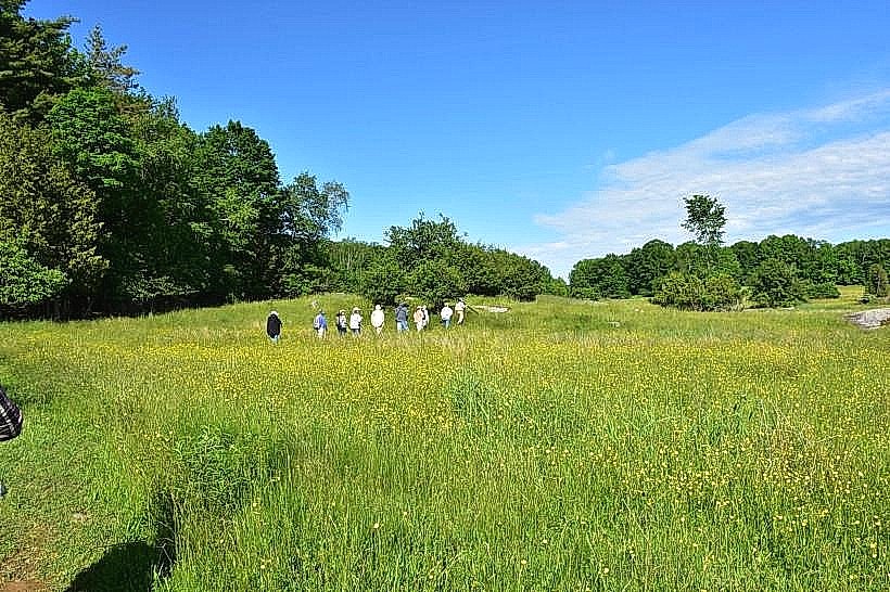Eagle Point Wildlife Management Area