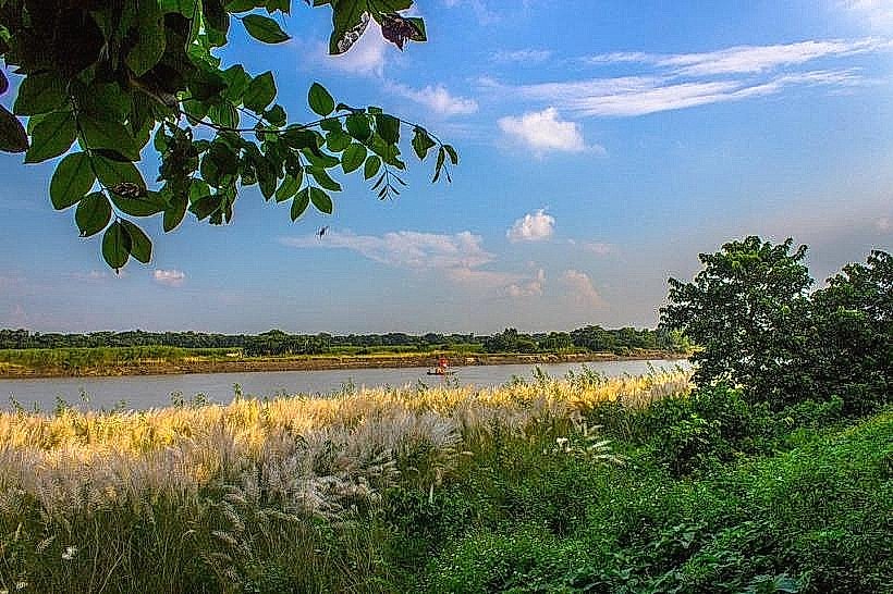 Phulpur Forest Reserve