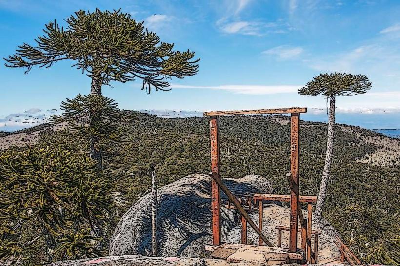 Parque Nacional Nahuelbuta е зашеметяващ национален парк разположен в Biobío