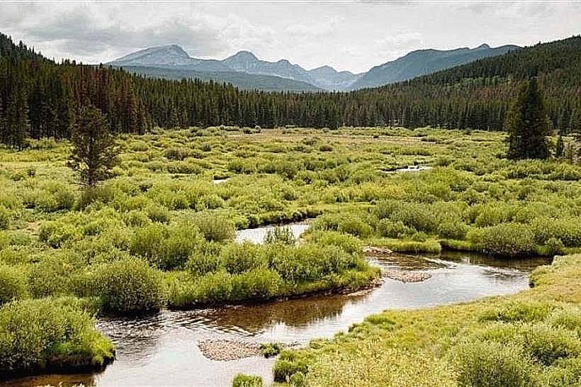Birch Creek Trail