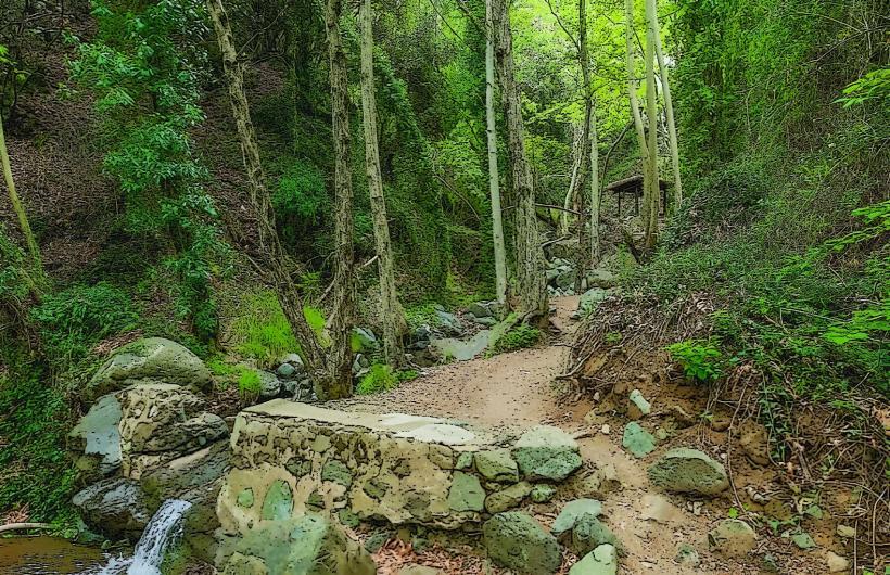 Parque Forestal Nacional Troodos