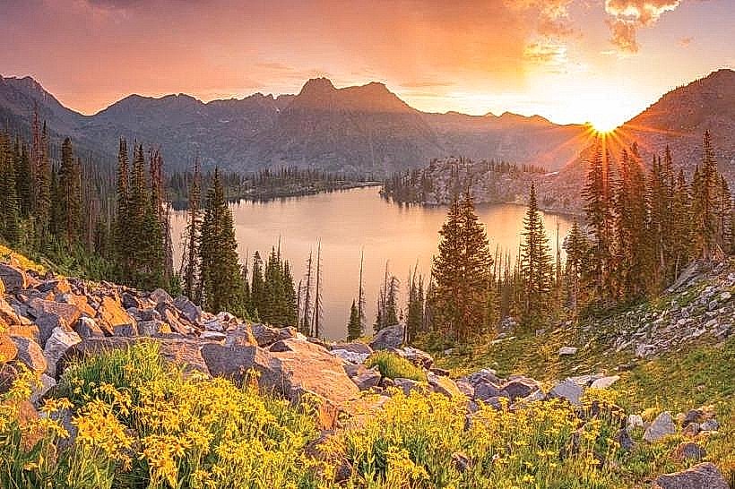 Medicine Bow National Forest