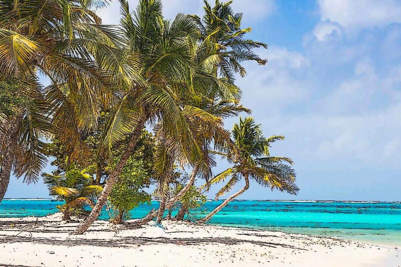 Petit Bateau Tobago Cays Saint Vincent and the Grenadines Petit