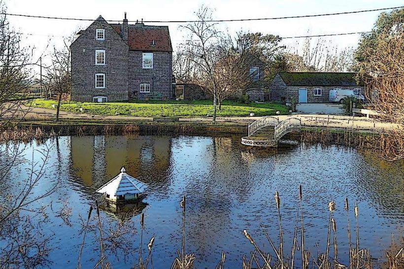 Bogota Duck Pond