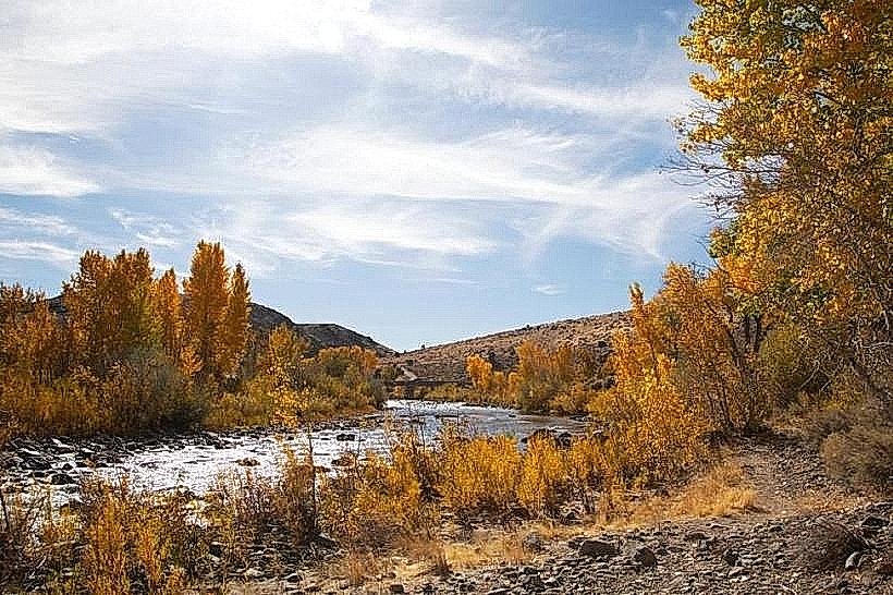 Carson River Park