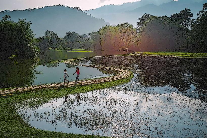 Taiping Lake Gardens