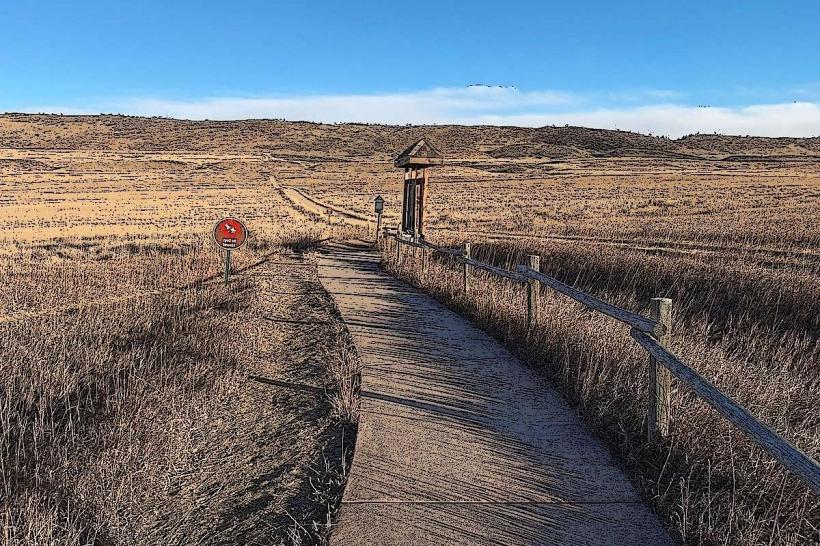 Coyote Ridge Natural Area