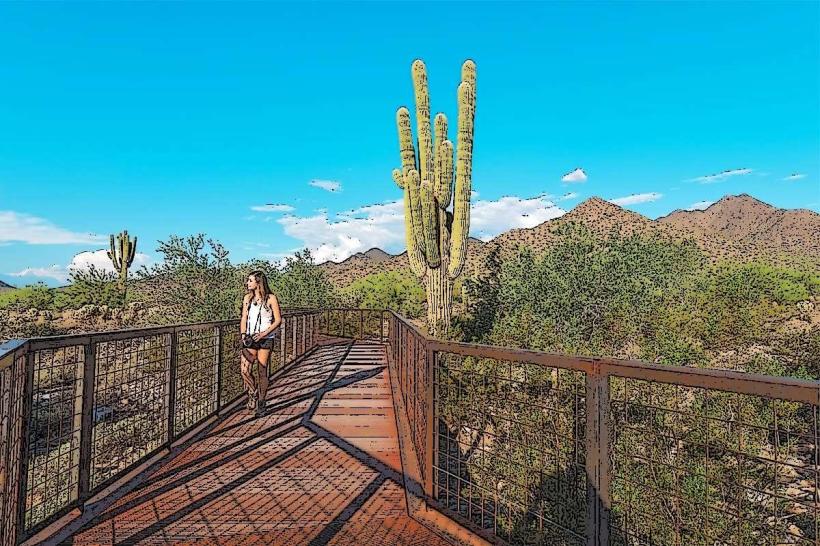 McDowell Sonoran Preserve
