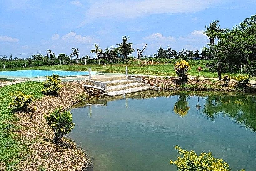Sabeto Hot Springs and Mud Pool