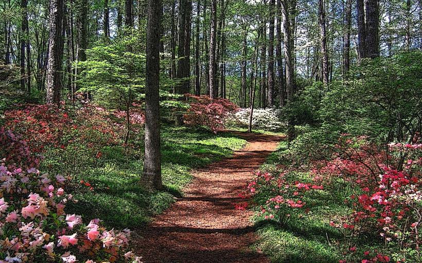 Callaway Gardens (Pine Mountain)
