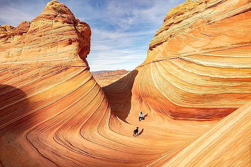 The Wave
