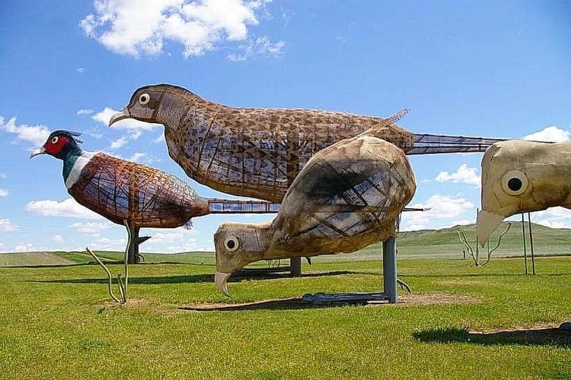 World’s Largest Tin Family & Pheasants on the Prairie