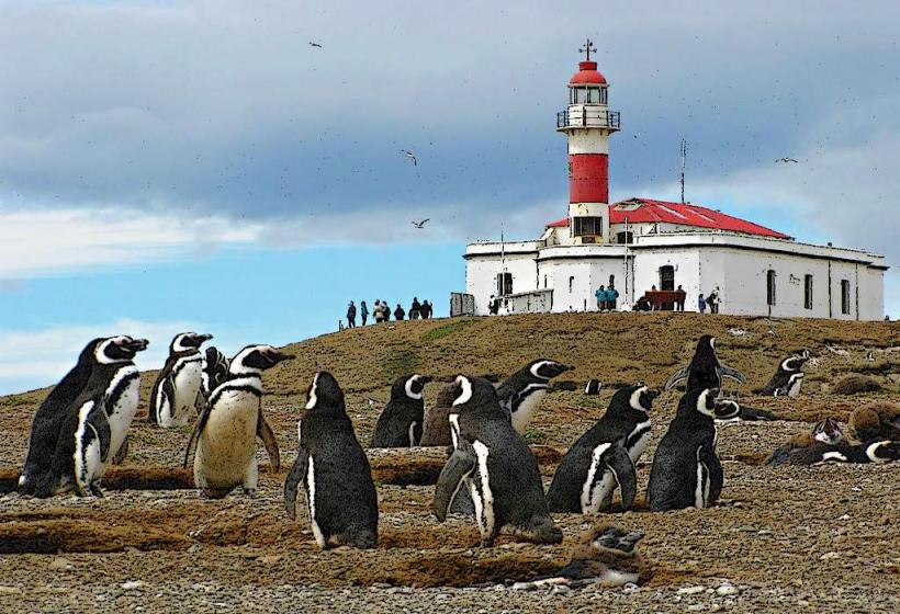 Isla Magdalena Подробно ръководство Преглед isla magdalena е малък защитен