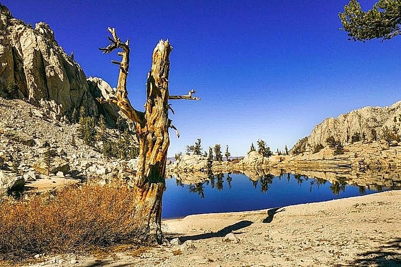 Lone Pine Trail