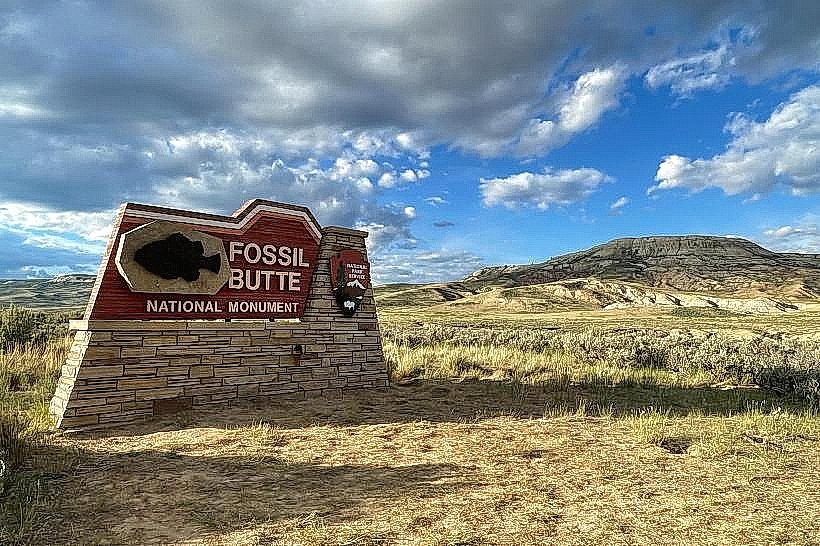 Fossil Butte National Monument