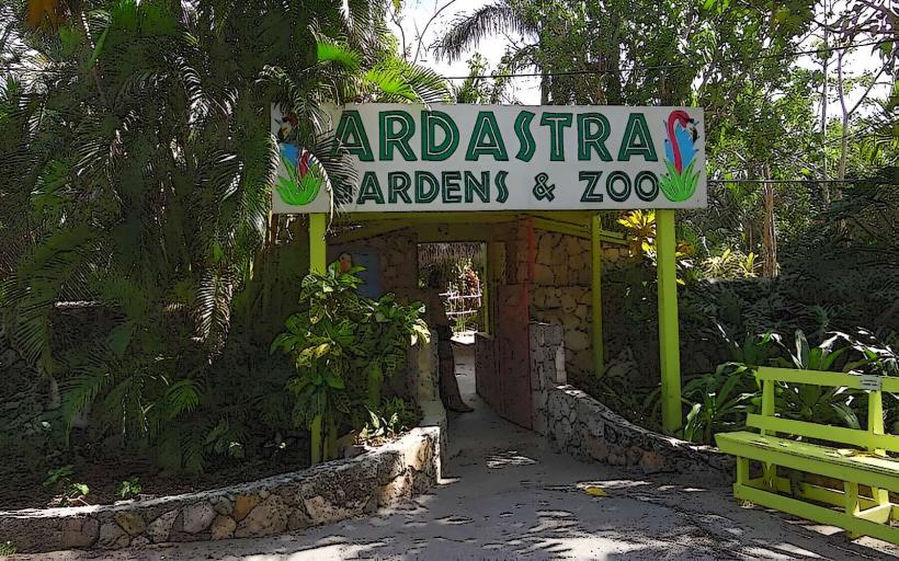 Ardastra Gardens & Zoo