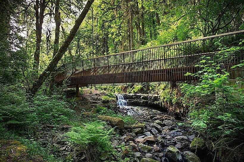 Portland Forest Park
