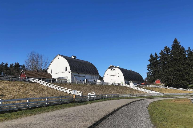 Kelsey Creek Farm