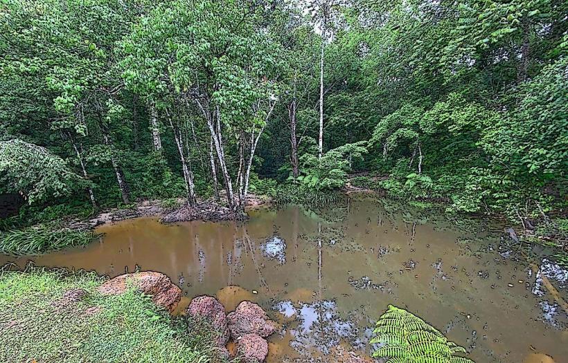 Parc Naturel de Kourou