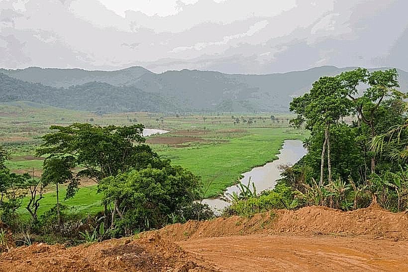Mvog-Betsi Rainforest Vicinity