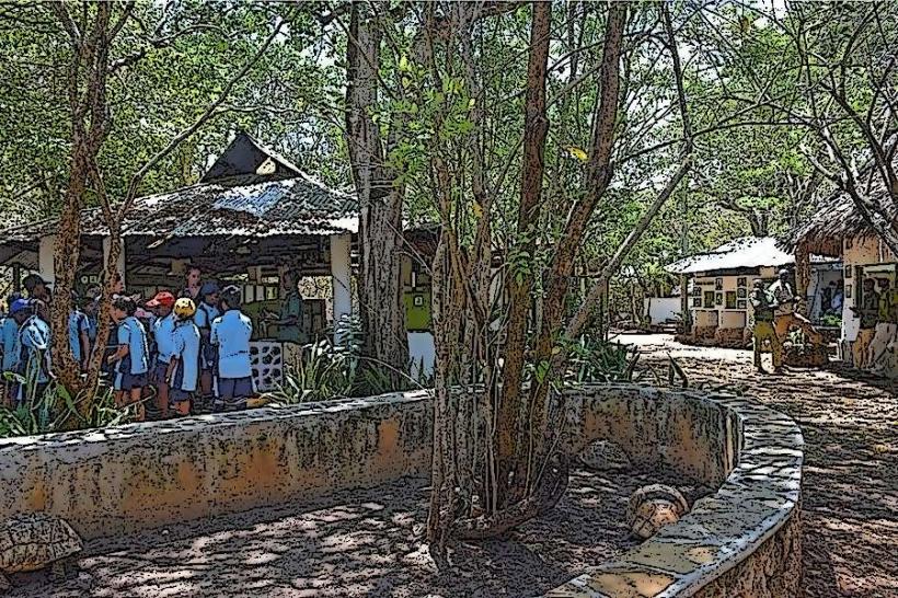Bio-Ken Snake Farm