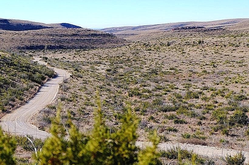 Carlsbad Caverns Scenic Drive