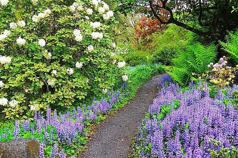 Hendricks Park