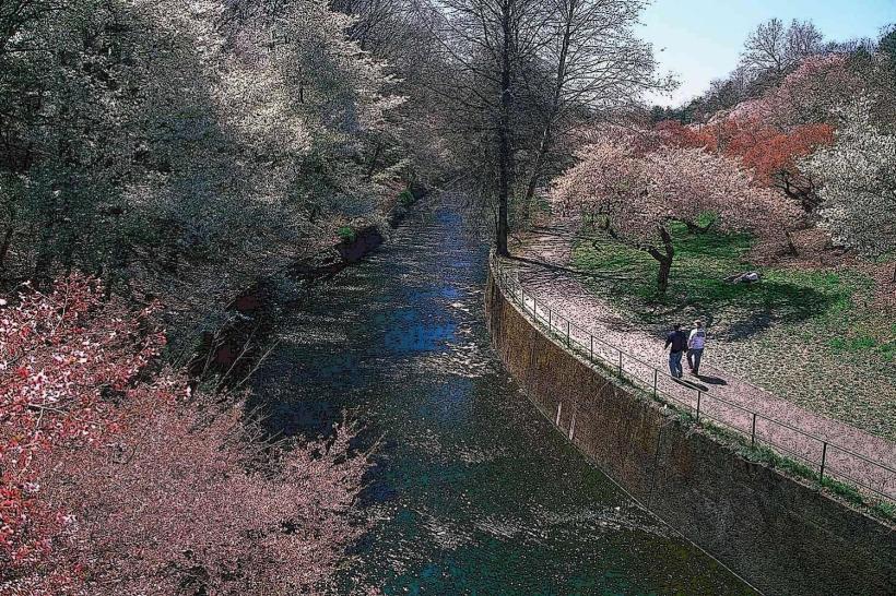 Branch Brook Park
