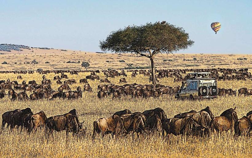 Maasai Mara National Reserve