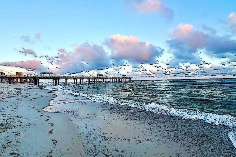 Cotton Bayou