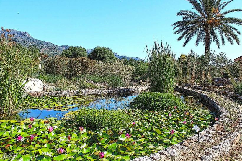 Jardí Botànic de Sóller