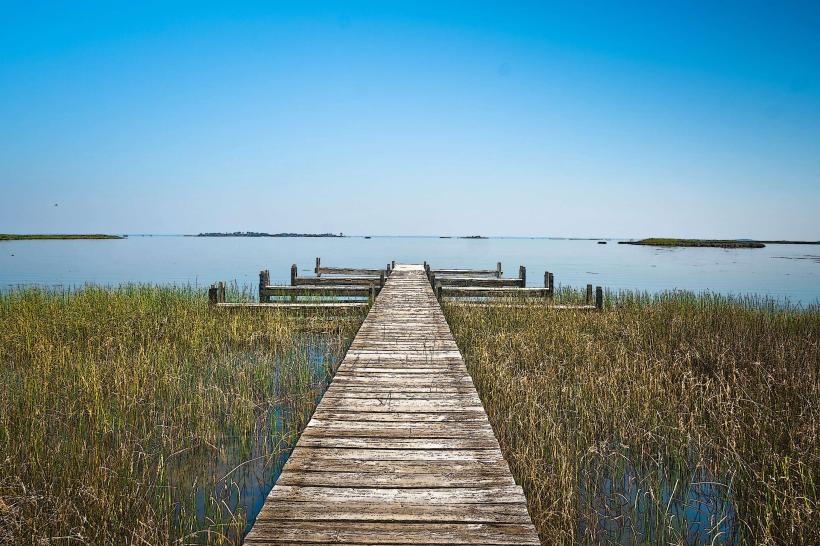 False Cape State Park