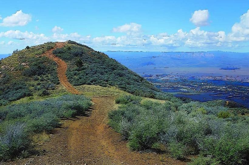 Mingus Mountain