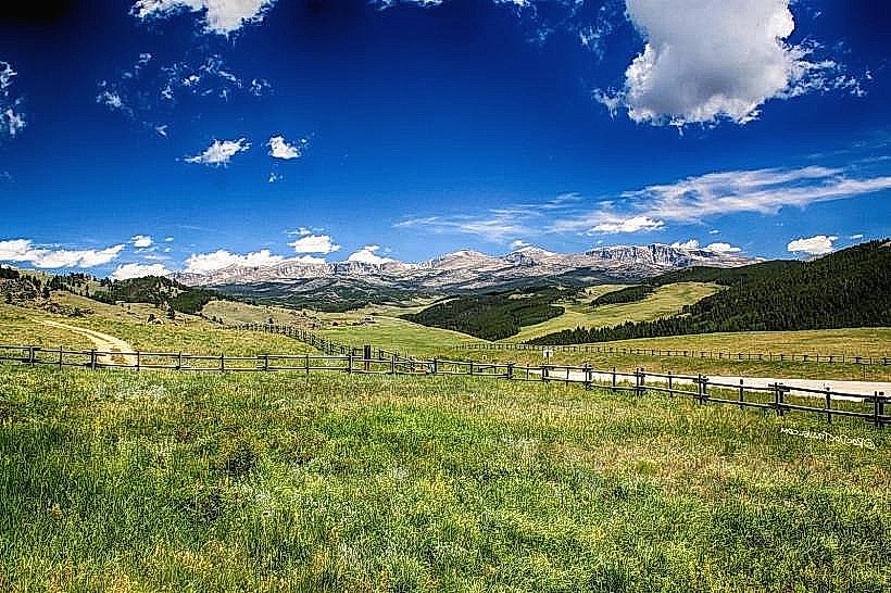 Bighorn National Forest