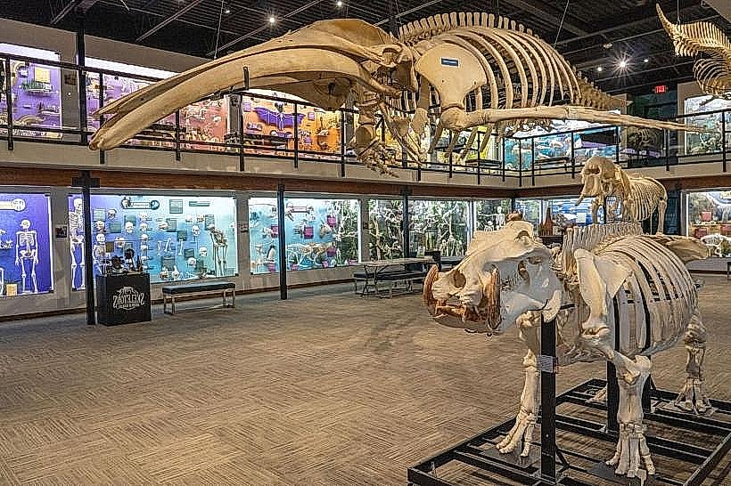 Museum of Osteology