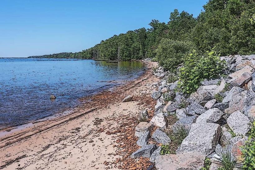 Croatan National Forest