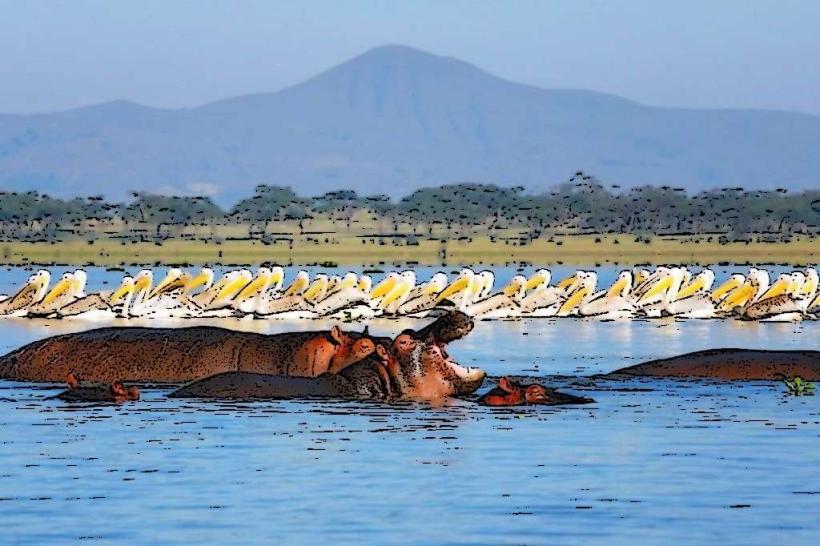 Lake Naivasha