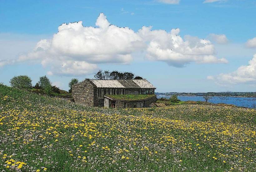 Lyngheisenteret (Heather Center)