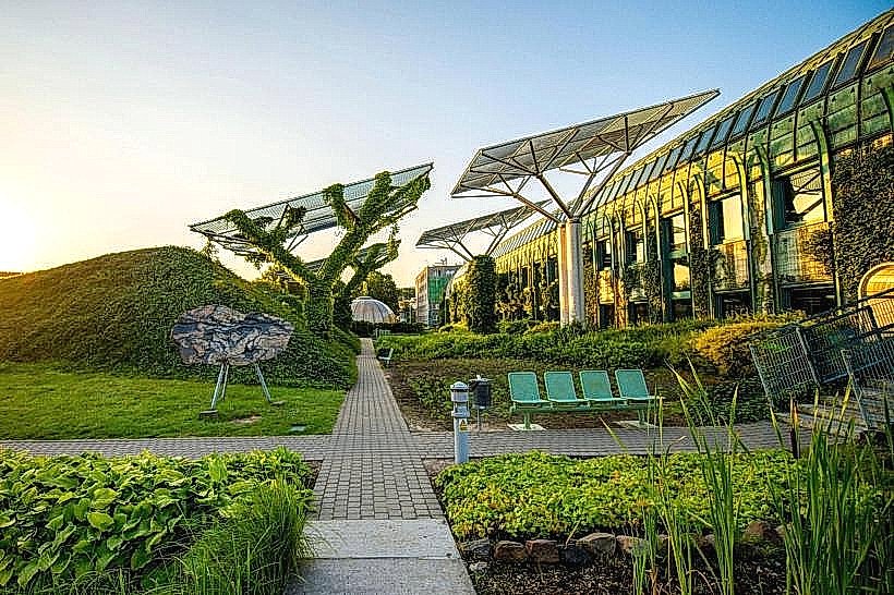 University of Yaoundé Botanical Garden