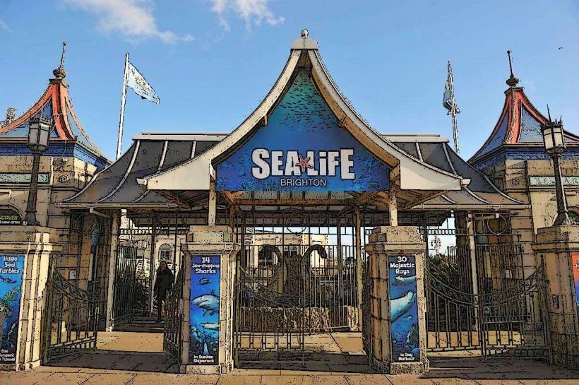 Sea Life Brighton